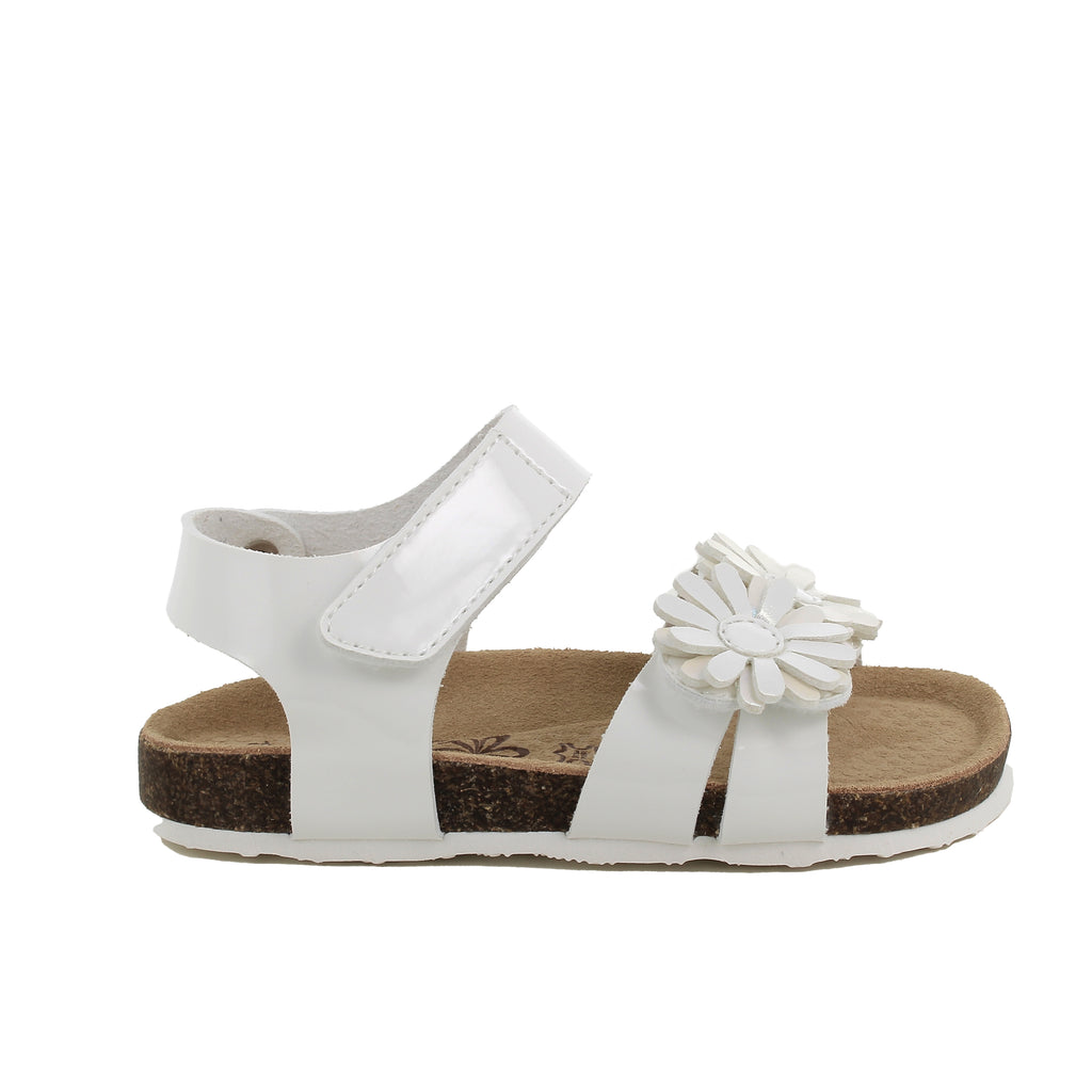 1433200