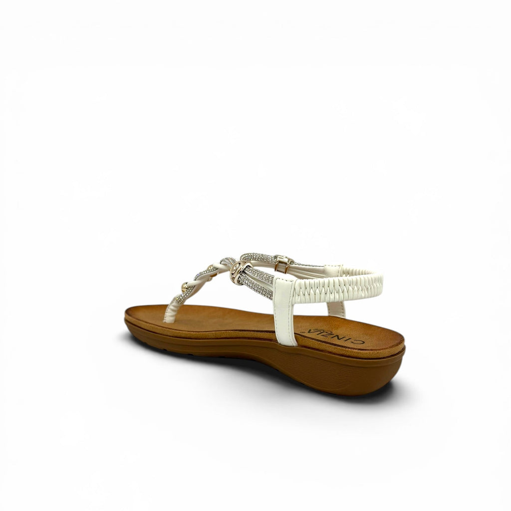 MCS119002