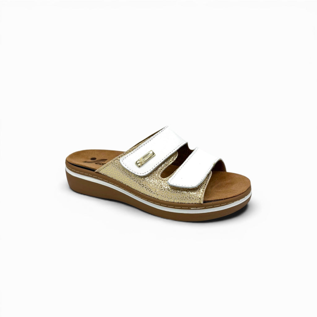 K254
